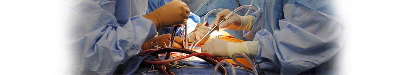 Heat Bypass Surgery or Coronary Artery BypassGgraft Surgery (CABG) is conducted to treat disease of 